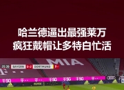 平博娱乐-梅西50球神迹莱万德甲41球，哈兰德36球