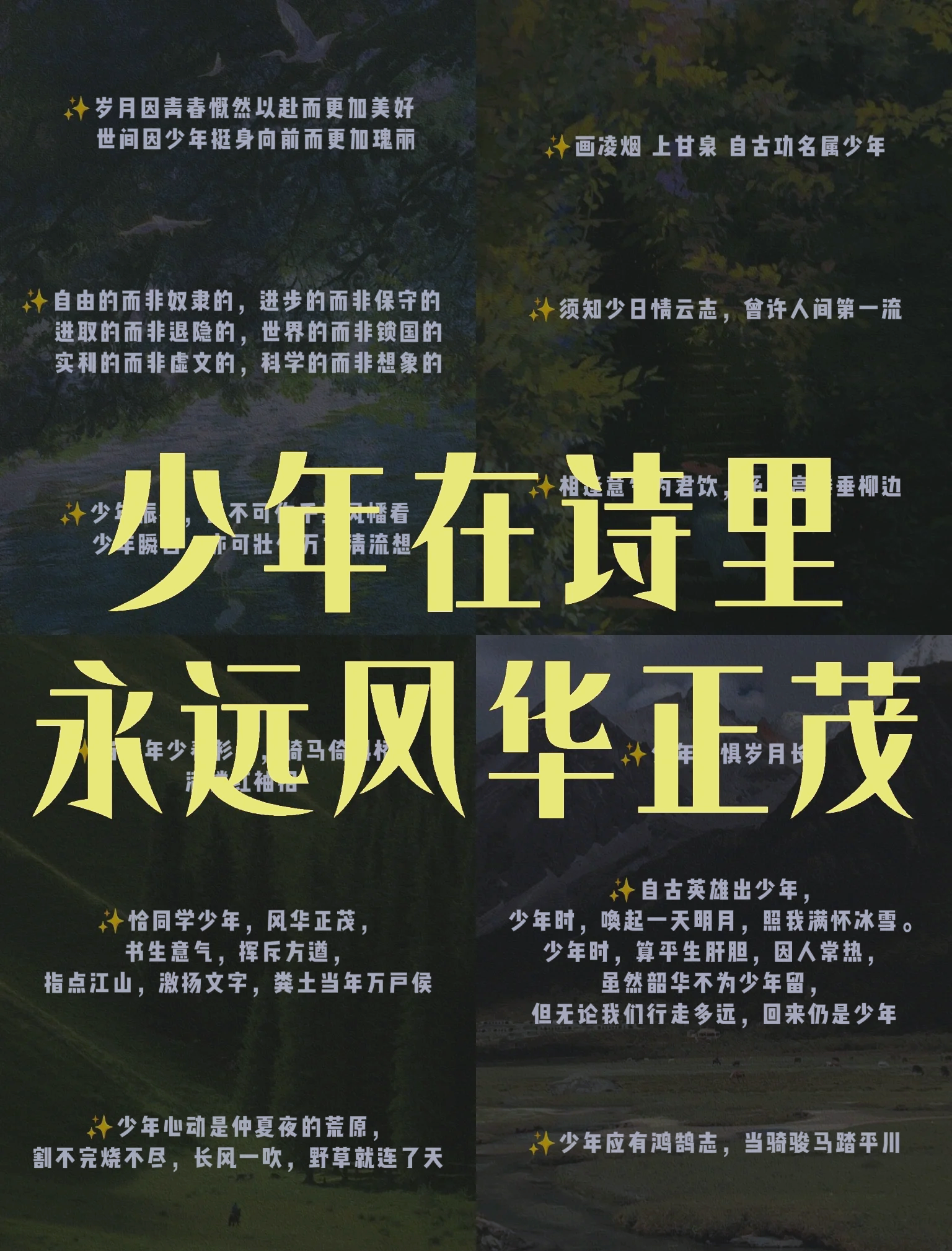 青年足球天才一展身手，场上光芒耀眼!的简单介绍