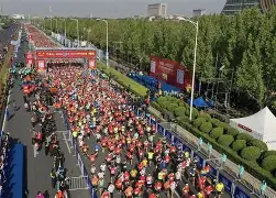 ALvsHLE对局六四开的简单介绍