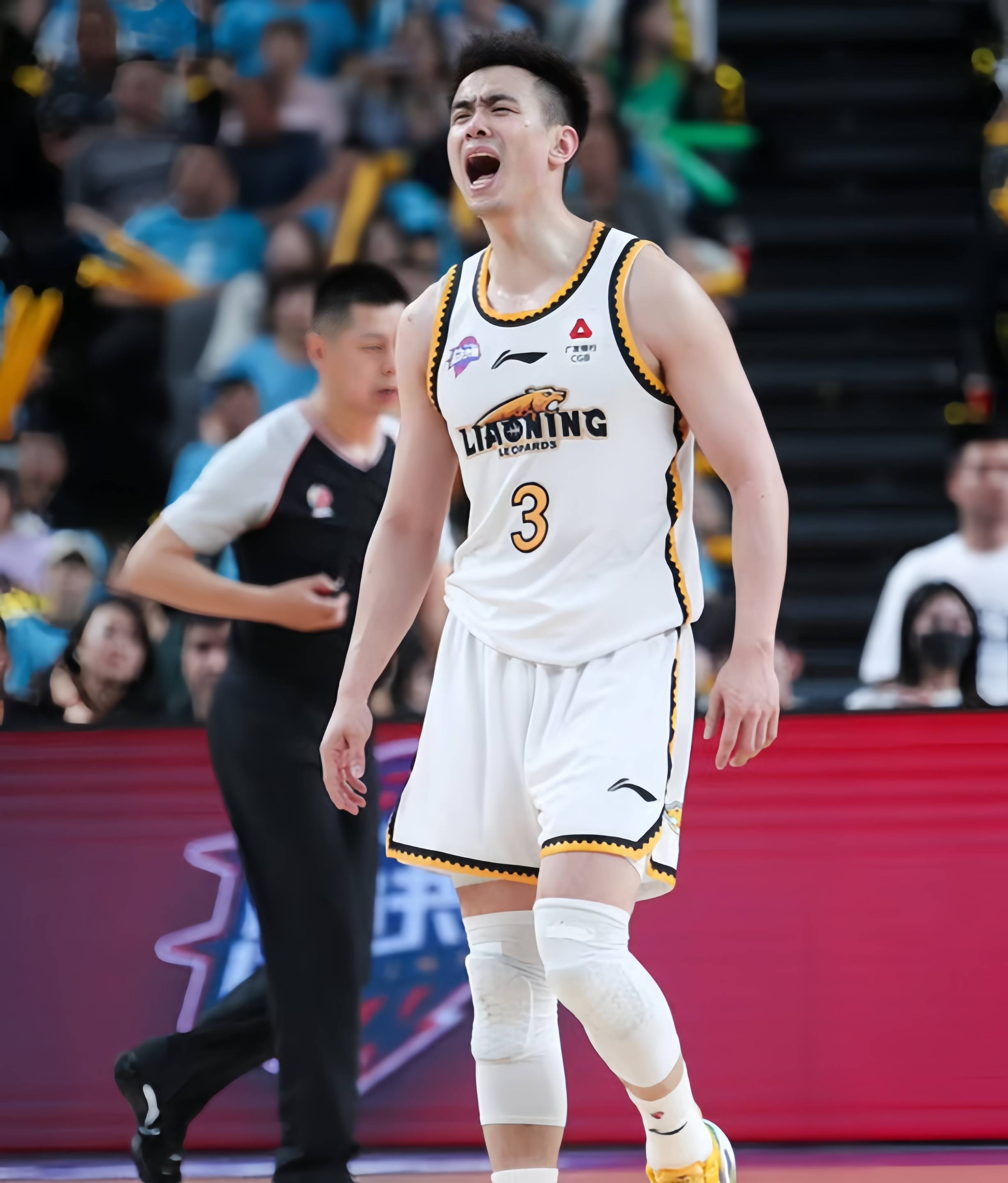 下赛季还能在CBA见到你吗？回顾弗格23-24赛季集锦的简单介绍