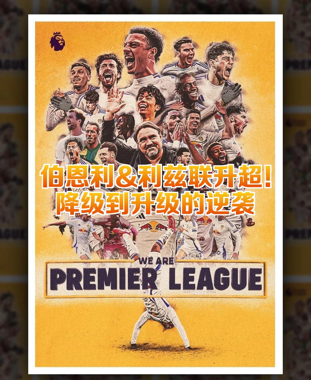 伯明翰城深陷降级区，拼尽全力保级