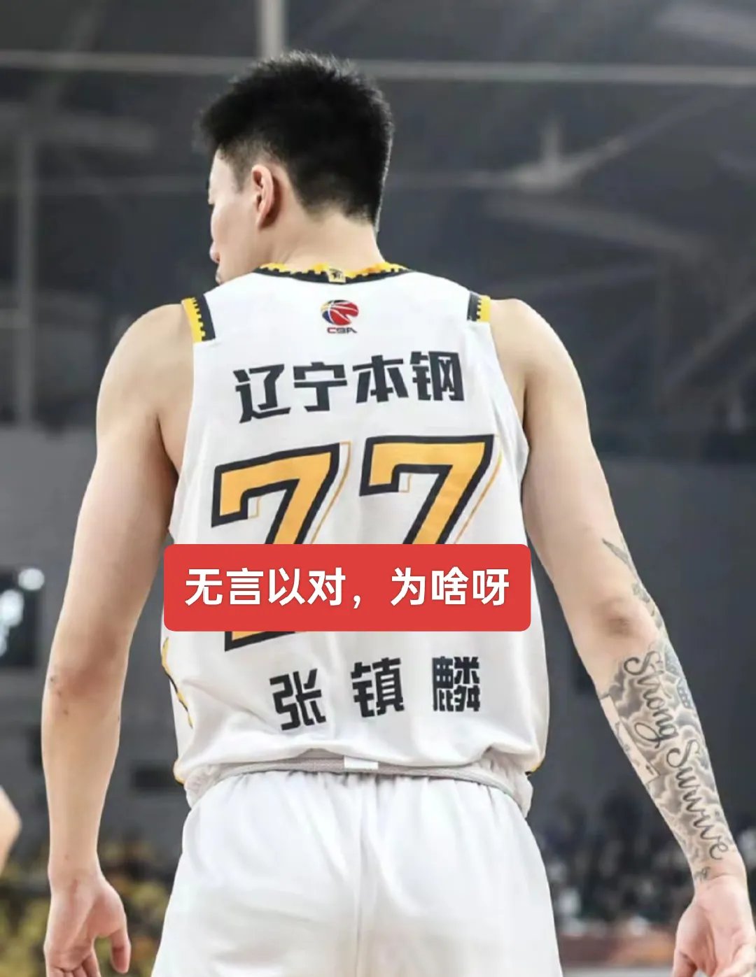 张镇麟辽粤大战个人集锦：得到34分7板4断，带队取胜的简单介绍